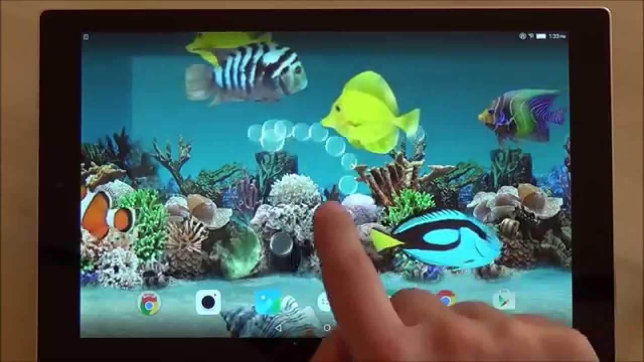 Aquarium Live Wallpapers For Android Free Download Bosstree